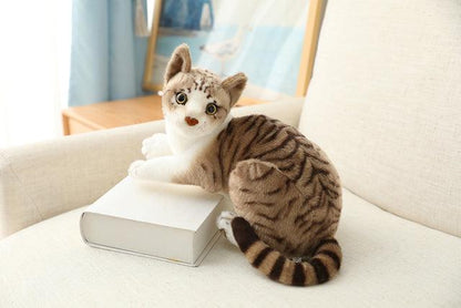 Plush Toys for American Shorthair and Siamese Cats