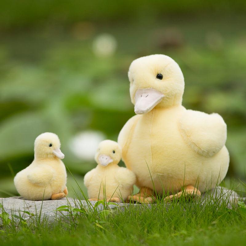 The cutest stuffed animal, the ugly duckling