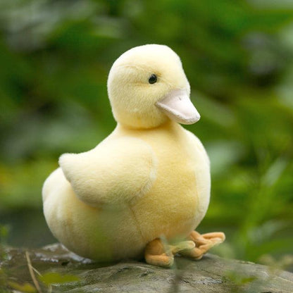 The cutest stuffed animal, the ugly duckling