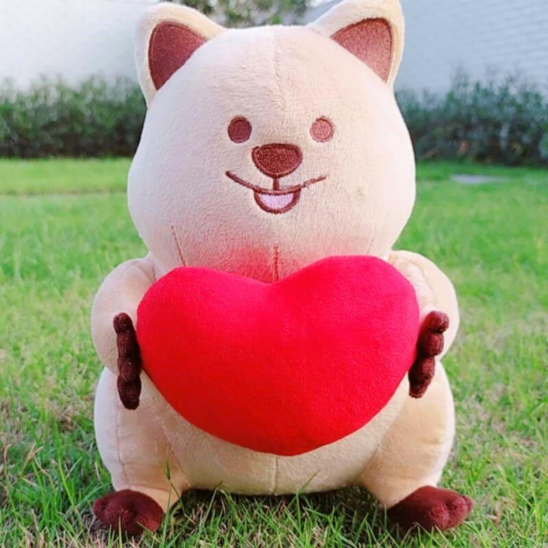 Peluche kangourou coeur rouge de la Saint-Valentin