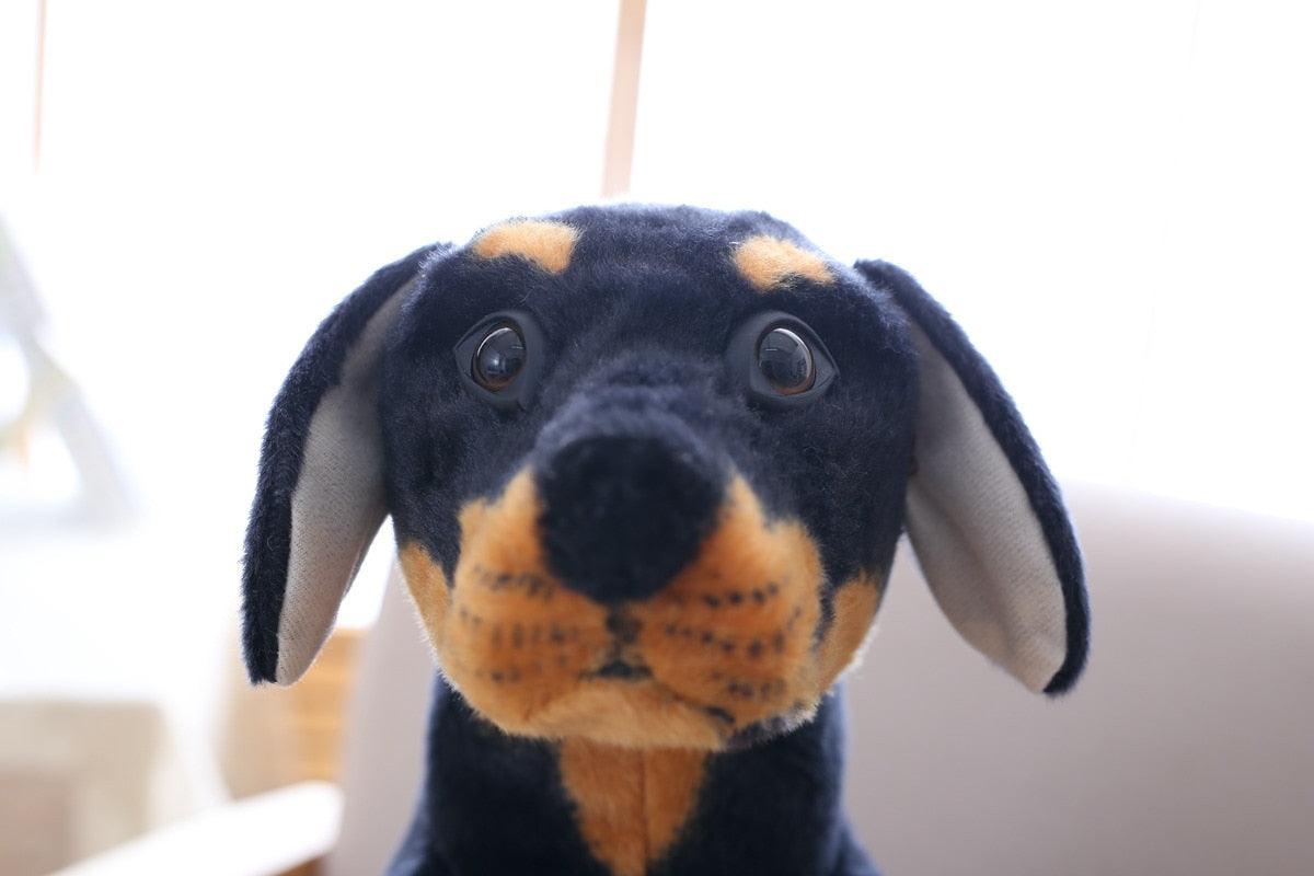 Animaux en peluche Rottweiler réaliste