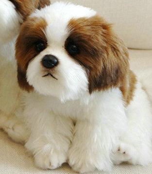 Adorable puppy stuffed animals