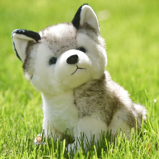 Peluche Chien Husky