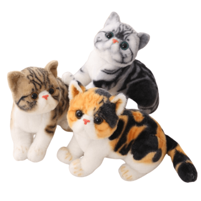 Beautiful Cat Plush